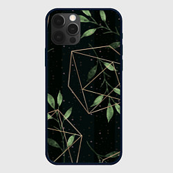 Чехол для iPhone 12 Pro Max Геометрия в природе, цвет: 3D-черный