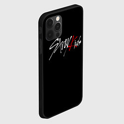 Чехол для iPhone 12 Pro Max STRAY KIDS, цвет: 3D-черный — фото 2