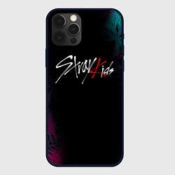 Чехол для iPhone 12 Pro Max STRAY KIDS, цвет: 3D-черный