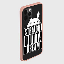 Чехол для iPhone 12 Pro Max Тоторо Straight outta dream, цвет: 3D-светло-розовый — фото 2