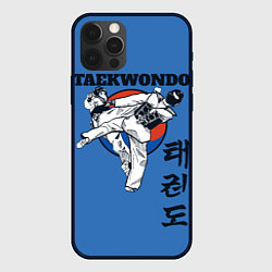 Чехол для iPhone 12 Pro Max Taekwondo, цвет: 3D-черный