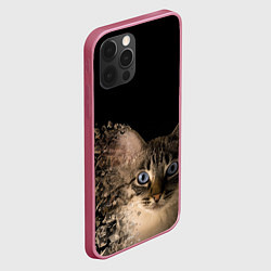 Чехол для iPhone 12 Pro Max Disintegrating Cat, цвет: 3D-малиновый — фото 2