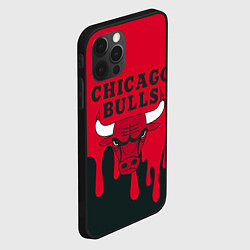 Чехол для iPhone 12 Pro Max Chicago Bulls, цвет: 3D-черный — фото 2