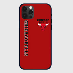 Чехол iPhone 12 Pro Max CHICAGO BULLS