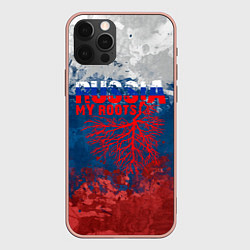 Чехол для iPhone 12 Pro Max Russia my roots, цвет: 3D-светло-розовый