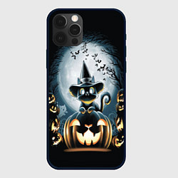 Чехол для iPhone 12 Pro Max Хэллоуин Кот, цвет: 3D-черный