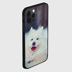 Чехол для iPhone 12 Pro Max САМОЕД, цвет: 3D-черный — фото 2