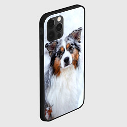 Чехол для iPhone 12 Pro Max Австралийская овчарка, цвет: 3D-черный — фото 2