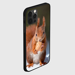 Чехол для iPhone 12 Pro Max Белка с орехом на снегу, цвет: 3D-черный — фото 2