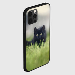 Чехол для iPhone 12 Pro Max Черный кот на лугу, цвет: 3D-черный — фото 2