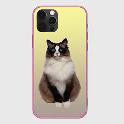 Чехол для iPhone 12 Pro Max Персидская пушистая кошка, цвет: 3D-малиновый