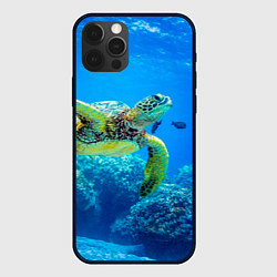 Чехол iPhone 12 Pro Max Морская черепаха