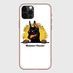 Чехол для iPhone 12 Pro Max Мини-Пинчер, цвет: 3D-светло-розовый