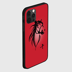 Чехол для iPhone 12 Pro Max Огненная лошадь с иероглифом, цвет: 3D-черный — фото 2