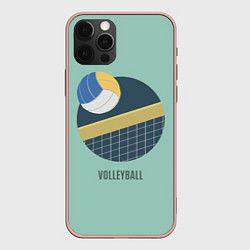 Чехол для iPhone 12 Pro Max Volleyball Спорт, цвет: 3D-светло-розовый