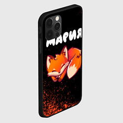 Чехол для iPhone 12 Pro Max Мария ЛИСИЧКА Краска, цвет: 3D-черный — фото 2