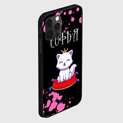 Чехол для iPhone 12 Pro Max Софья - КОШКА - Брызги, цвет: 3D-черный — фото 2