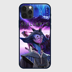 Чехол iPhone 12 Pro Max STELLARIS СТЕЛЛАРИС