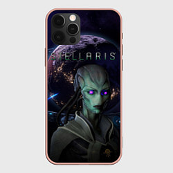 Чехол для iPhone 12 Pro Max STELLARIS СТЕЛЛАРИС, цвет: 3D-светло-розовый