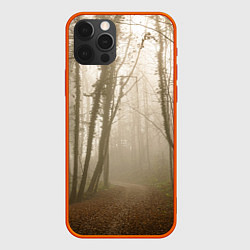 Чехол для iPhone 12 Pro Max Туманный лес на восходе, цвет: 3D-красный