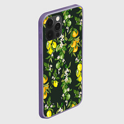 Чехол для iPhone 12 Pro Max Апельсины, Лаймы и Лимоны, цвет: 3D-серый — фото 2