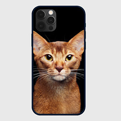 Чехол для iPhone 12 Pro Max Молодая абиссинская кошечка, цвет: 3D-черный