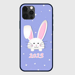 Чехол iPhone 12 Pro Max Кролик - символ 2023 года