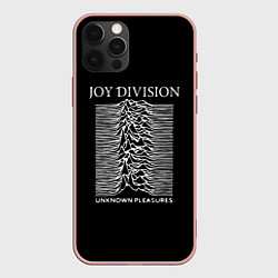 Чехол iPhone 12 Pro Max Joy Division - unknown pleasures