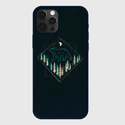 Чехол для iPhone 12 Pro Max Созвездие медведицы, цвет: 3D-черный