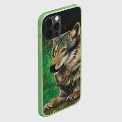 Чехол для iPhone 12 Pro Max Спокойный серый волк, цвет: 3D-салатовый — фото 2