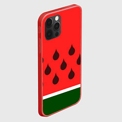 Чехол для iPhone 12 Pro Max Сочный летний арбуз, цвет: 3D-красный — фото 2