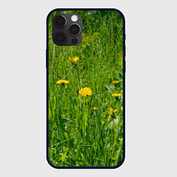 Чехол для iPhone 12 Pro Max Солнечные одуванчики, цвет: 3D-черный