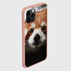 Чехол для iPhone 12 Pro Max Малая панда, цвет: 3D-светло-розовый — фото 2