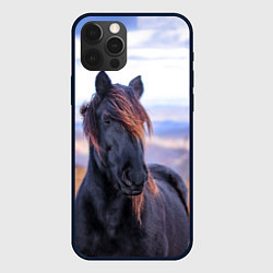 Чехол для iPhone 12 Pro Max Черный конь, цвет: 3D-черный