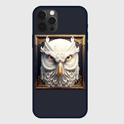 Чехол для iPhone 12 Pro Max Белая сова - барельеф в раме, цвет: 3D-черный