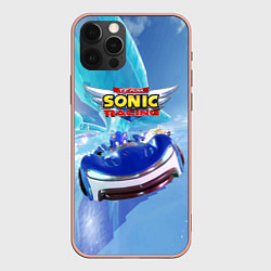 Чехол iPhone 12 Pro Max Team Sonic racing - hedgehog - speed