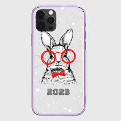 Чехол iPhone 12 Pro Max Снегопад и кролик 2023