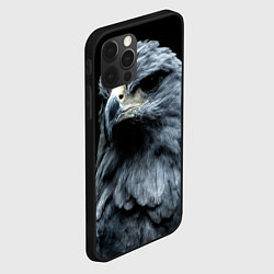 Чехол для iPhone 12 Pro Max Oрёл, цвет: 3D-черный — фото 2