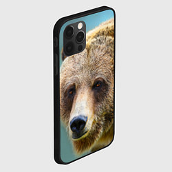 Чехол для iPhone 12 Pro Max Русский бурый медведь, цвет: 3D-черный — фото 2