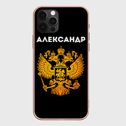 Чехол для iPhone 12 Pro Max Александр и зологой герб РФ, цвет: 3D-светло-розовый