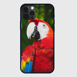 Чехол для iPhone 12 Pro Max Красный попугай Ара, цвет: 3D-черный