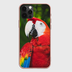 Чехол для iPhone 12 Pro Max Красный попугай Ара, цвет: 3D-светло-розовый