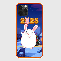 Чехол iPhone 12 Pro Max Круглый кролик 2023