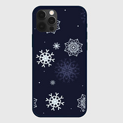 Чехол для iPhone 12 Pro Max Снежная ночь, цвет: 3D-черный