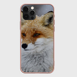 Чехол для iPhone 12 Pro Max Лис зимой, цвет: 3D-светло-розовый