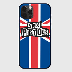 Чехол для iPhone 12 Pro Max Sex Pistols - панк рок, цвет: 3D-черный