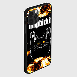 Чехол для iPhone 12 Pro Max Limp Bizkit рок кот и огонь, цвет: 3D-черный — фото 2