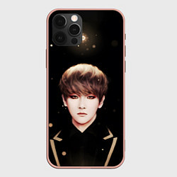 Чехол для iPhone 12 Pro Max Byun Baek hyun, цвет: 3D-светло-розовый