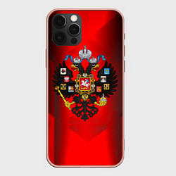 Чехол iPhone 12 Pro Max Символика имперской россии