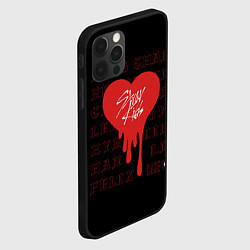 Чехол для iPhone 12 Pro Max Stray Kids участники, цвет: 3D-черный — фото 2